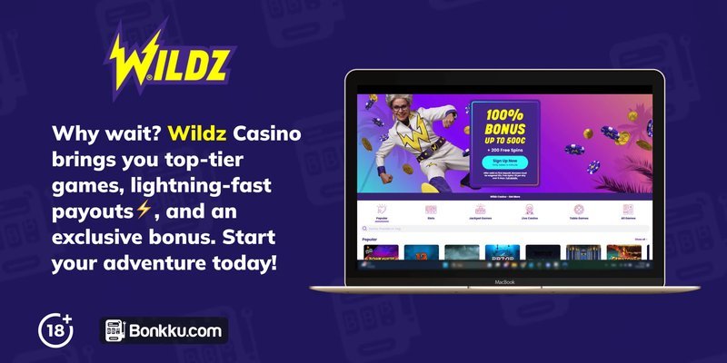 A look at wildzy